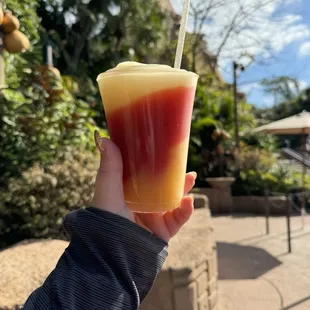 Fiesta Margarita ($15)