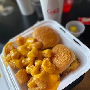 Combo 1 with cheese on tots