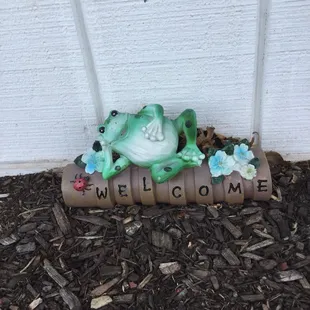  frog sitting on a welcome sign