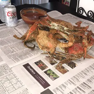 Dozen "smalls" pretty big