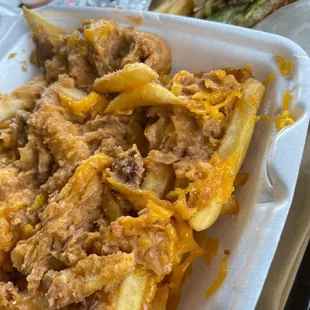What is this? Does not look like chili cheese fries. Where's the mea?