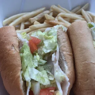Turkey sub