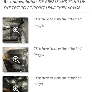 Explanation of issue with information of the recommendation, photos and sometimes video.