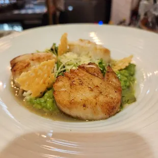 Scallops