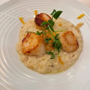 Risotto