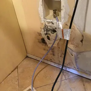 The mold had traveled eight feet up our entry walls.