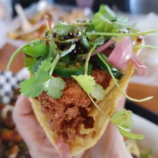 a hand holding a taco