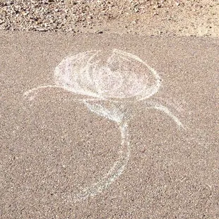 Drawings at the park for Christina.