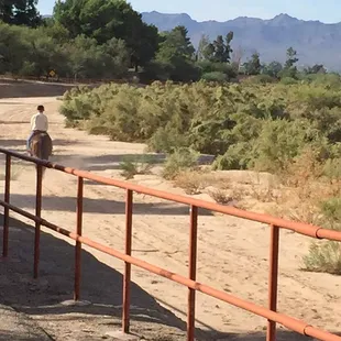 Sometimes you can see horseback riding in the wash!