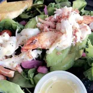 Lobster Avocado Salad