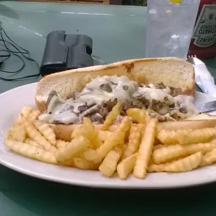Cheese steak and fries .