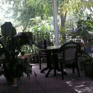 Just one of the tables outside surrounded with plants.