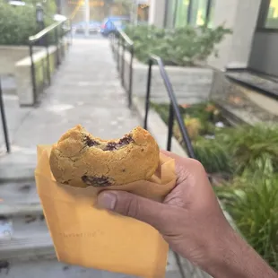 Chocolate Chip Cookie