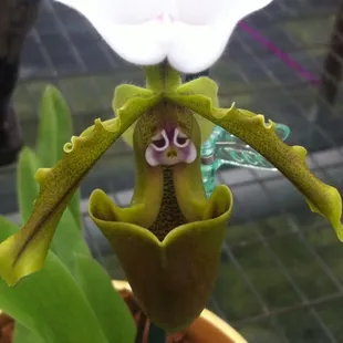 Available at Christine's