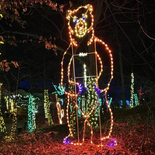 Christmas at the Zoo lights