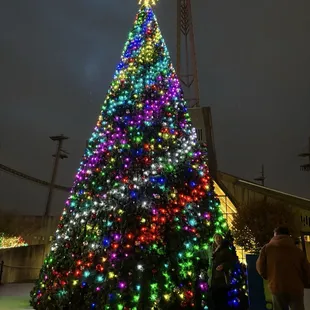 Christmas at the Zoo 2024