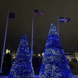 Christmas at the Zoo 2024