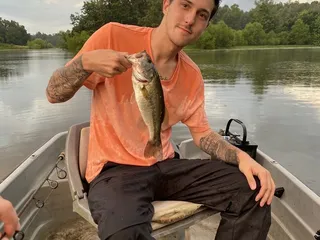 Enchanted Forest Luxury Cabin