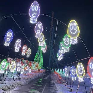 Christmas tunnel (singing light bulbs to the music)