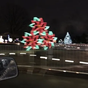 Christmas in the Park