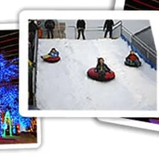 Pic property of CITS.