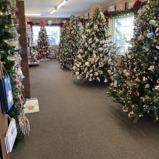 I bet the store is really pretty to drive past at night with so many trees inside.