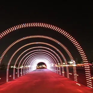 Christmas Nights of Lights