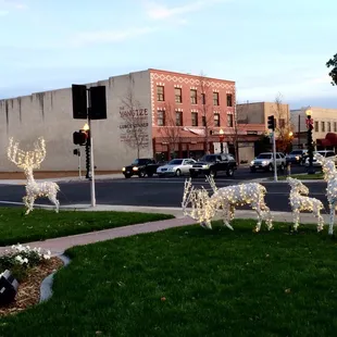 A family of reindeer can in fact sometimes be spotted grazing on the Euclid Avenue median.
