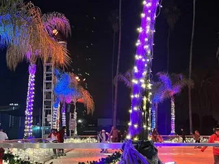 Elf On the Shelf Magical Holiday Journey