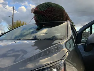 Heidi's Fresh Christmas Trees