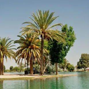 Canoeing on Silverbell Lake.