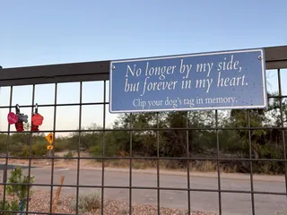 Wagging Tails Dog Park