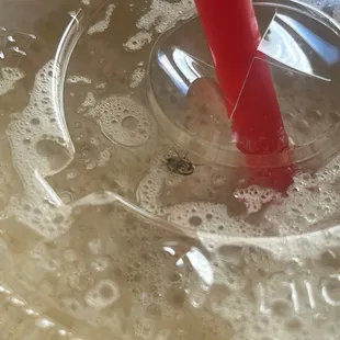 Bug in my drink
