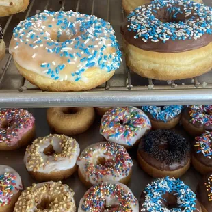 Sprinkled Donuts