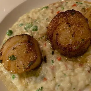 Outer Bank Scallops