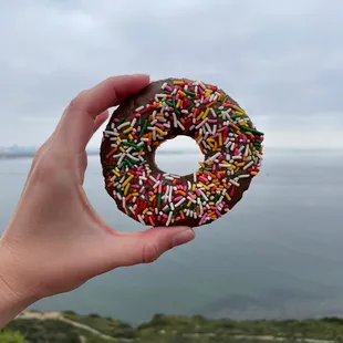 Cake donut with chocolate frosting and rainbow sprinkles :D
