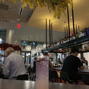 Cocktail before dinner