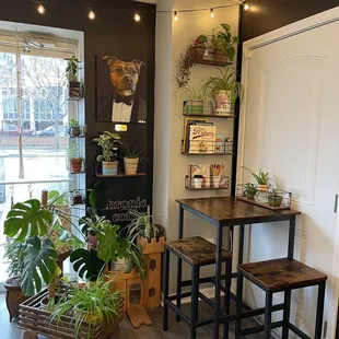 You can purchase the little plants in the shop too! So many cut things!