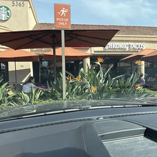 Really good food hands down