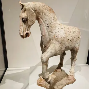 The angry horse reminded me of my dog when he's angry LOL