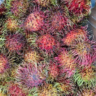 Rambutan