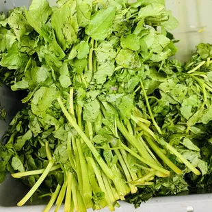 Water Cress