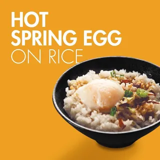 Hot Spring Egg on Rice