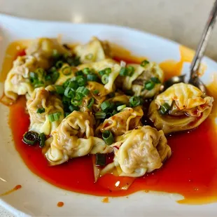 Sichuan Wontons