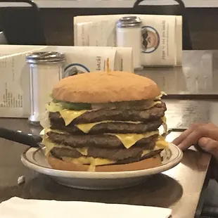 food, burger, burgers