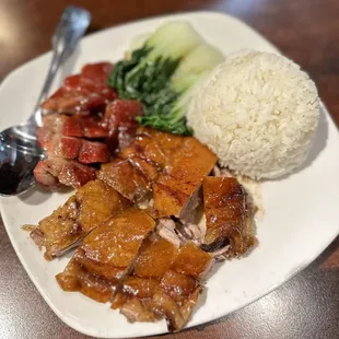 roast duck rice plate