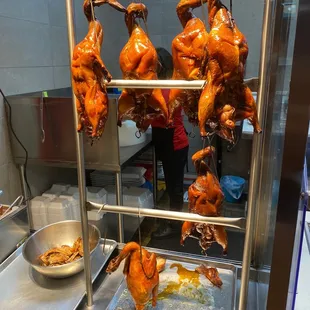 Roast duck