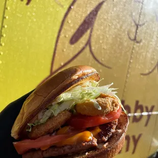 Burger Special!We have the fried pickle burger. It has fried pickles, beyond patty, cheese, tomatoes, lettuce, remoulade sauce on a brioche