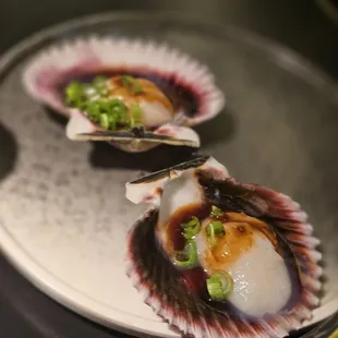Scallops