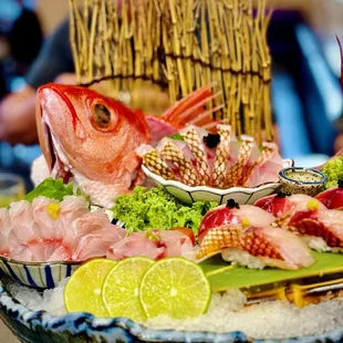 food, sushi and sashimi, sushi, sashimi